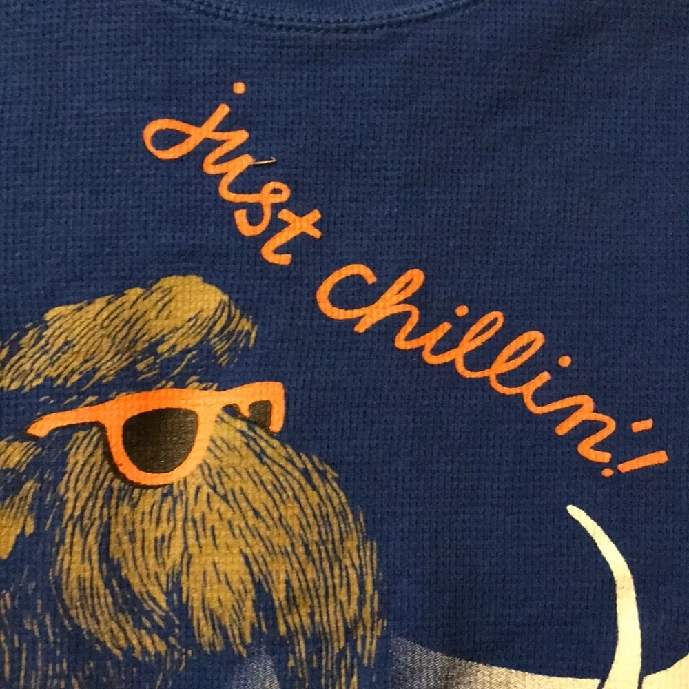 Boy’s size 4T thermal shirts x 2 Gap Circo blue gray cotton waffle weave CHILLIN